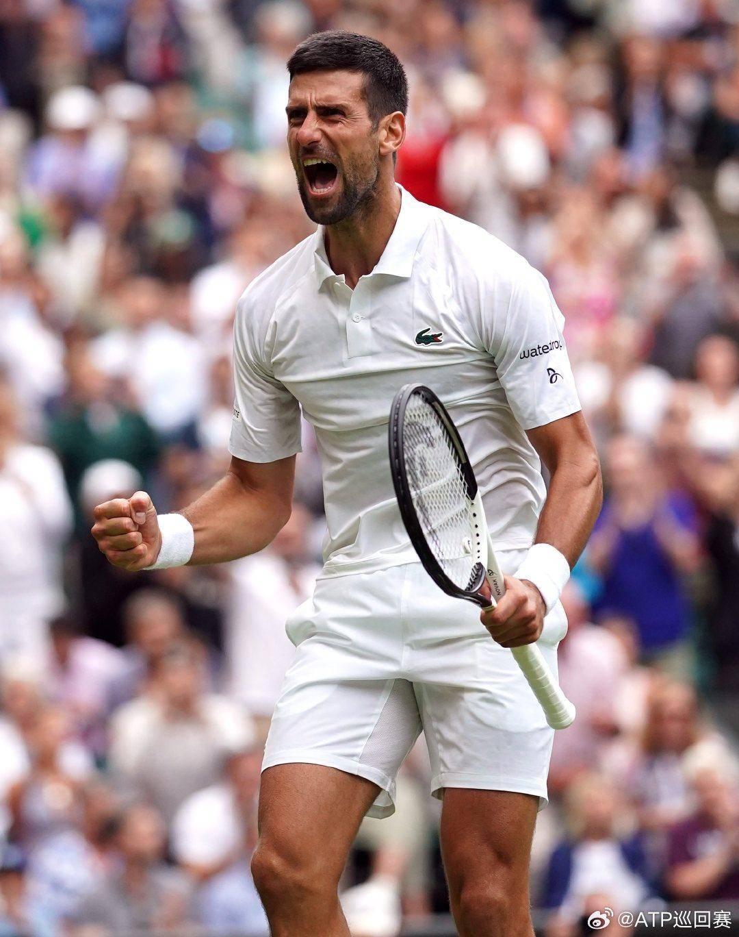 步和发展的 步和发展的