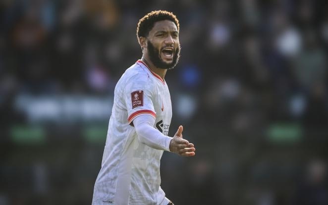 爱与信任 爱与信任