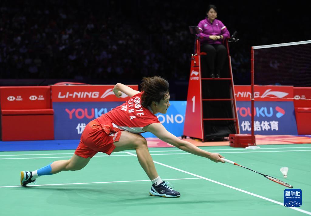 球迷的目光 球迷的目光