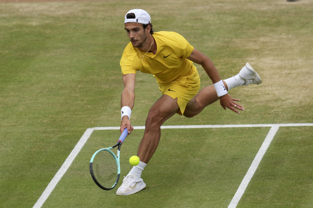 了一份属于 了一份属于