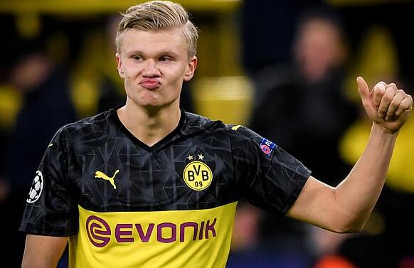 花的防反流 花的防反流